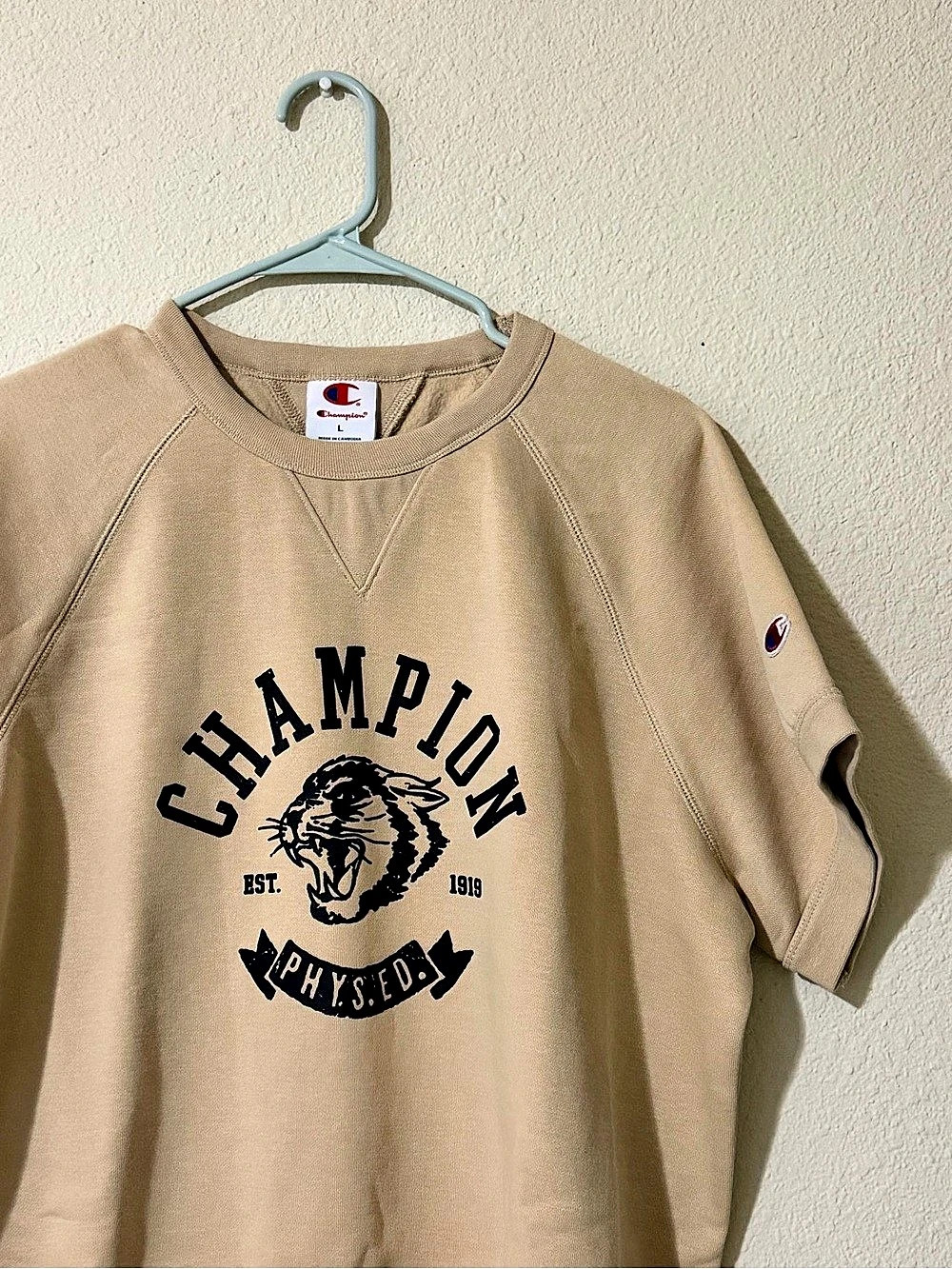 Champion Short Sleeve Logo Sweatshirt in Brown Like New